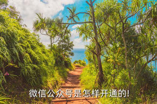 微信口號,微信添加賬號須注冊哪些賬號可以使用?...